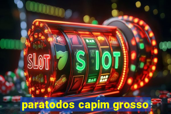 paratodos capim grosso