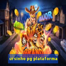 ursinho pg plataforma