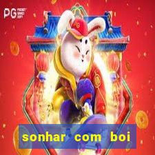 sonhar com boi jogo do bicho