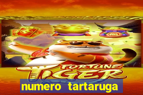 numero tartaruga jogo do bicho