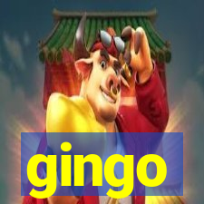 gingo