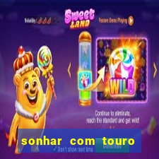 sonhar com touro bravo no mundo espiritual