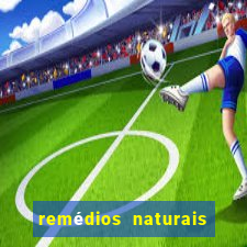 remédios naturais para diabetes